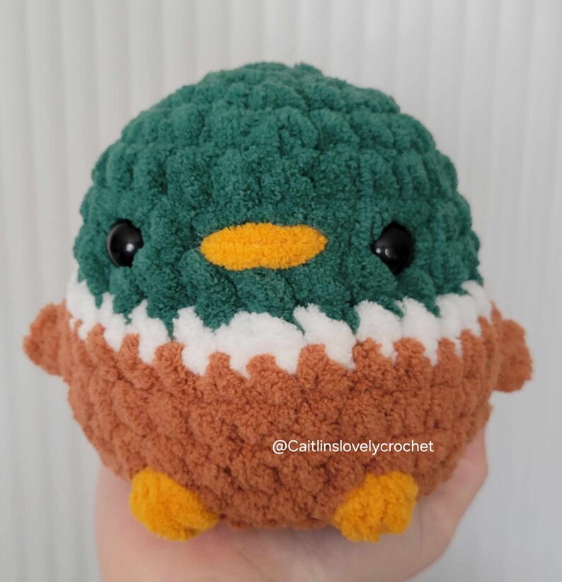 May include: A handmade, plush duck toy with a green head, brown body, and orange beak and feet. The duck has large black eyes and a white stripe separating the green and brown sections. The text "@Caitlinslovelycrochet" is visible.