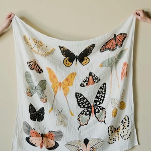 Butterfly Collector Swaddle