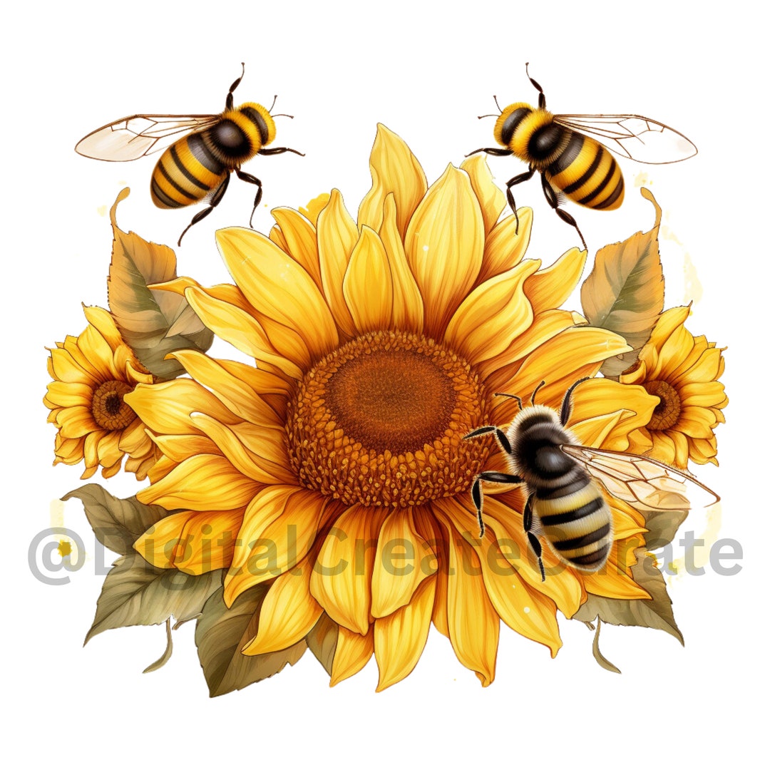 Bees PNG, Sunflower PNG, Summer Png, Bees Svg Sunflower Svg Bees