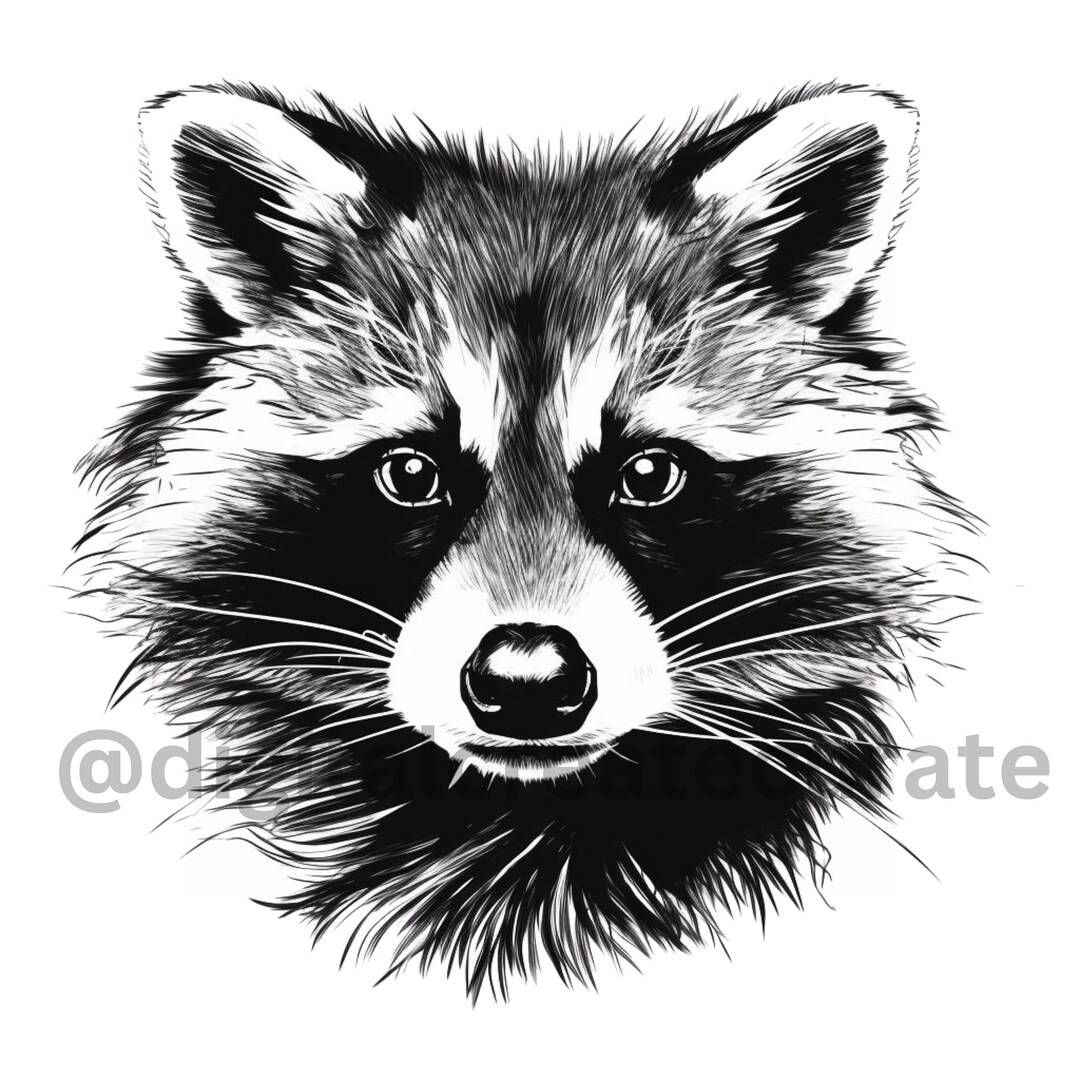 Buy Raccoon PNG, in My Feral Era, Raccoon Jpg, Raccoon Svg, Raccoon