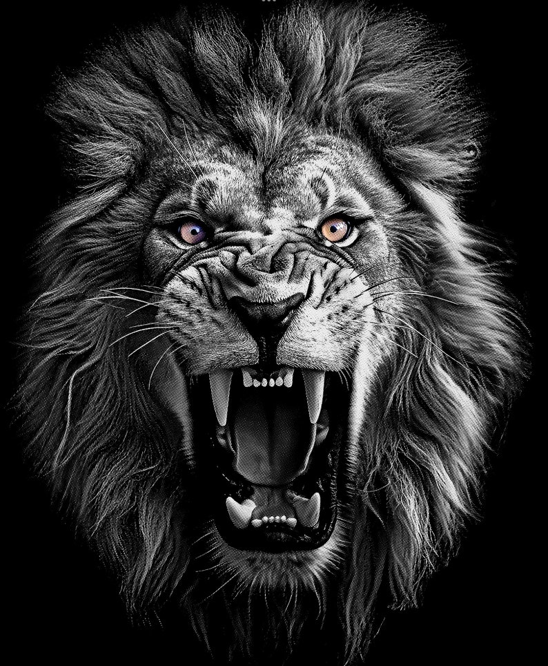 May include: A black and white photo of a lion with its mouth open, showing its teeth. The lion has a thick mane and piercing purple eyes.