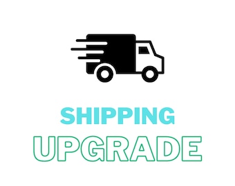 Shipping Upgrade and Price Adjustment Listing, Custom Amount