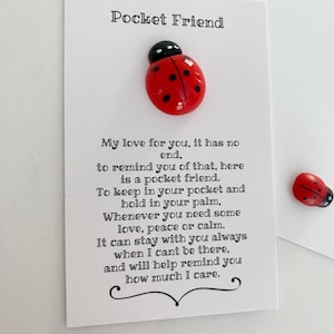 Ladybug pocket hug. Pocket hug. Pocket bear. Comfort gift. Get well soon gift. Anxiety gift. Ladybird lovers gift. Friendship gift.