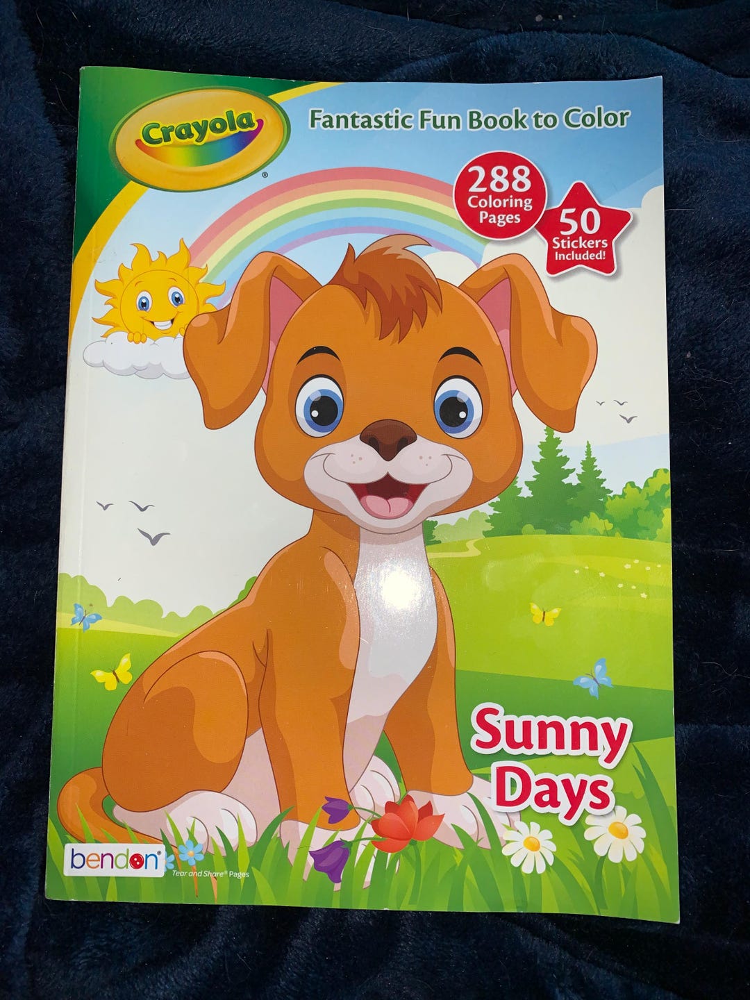 Crayola Coloring Book for Kids - Etsy