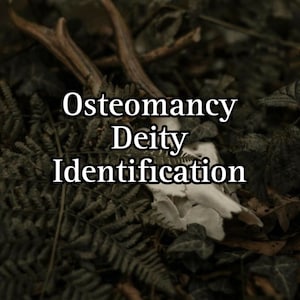 Könnte beinhalten: Nahaufnahme eines Hirschschädels mit Geweih, der auf einem Bett aus grünen Farnen und Blättern liegt. Der Text "Osteomancy Deity Identification" ist über das Bild gelegt.