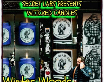 Coconut Soy Apricot Wax Candle, Winter Woods, Morning Coffee, Ocean Breeze