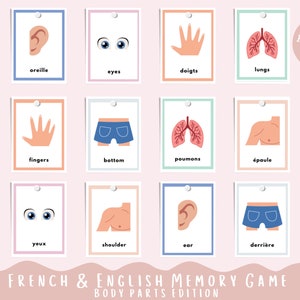 Jogo da Memória Francês/Inglês | Partes do corpo | Corpo Humano | Aprendizagem infantil | Jogos Educativos | Materiais Montessori | Crianças Bilíngues