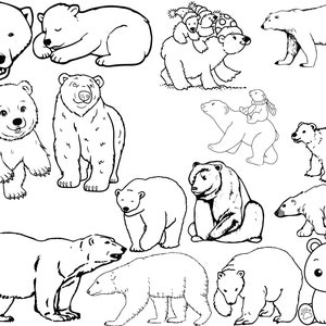 Polar Bear Themed SVGs File Pack!