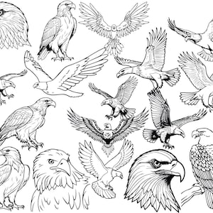 Pacchetto file SVG a tema aquila calva! *Massima qualità*