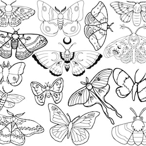 Awesome / Cool / Pretty Moth Themed SVGs File Pack! (Highest Quality) (Can Be Converted)
