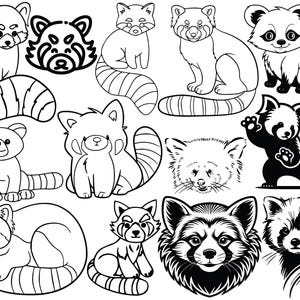 Paquete de archivos SVG con temática de animales panda rojo. *Máxima calidad*