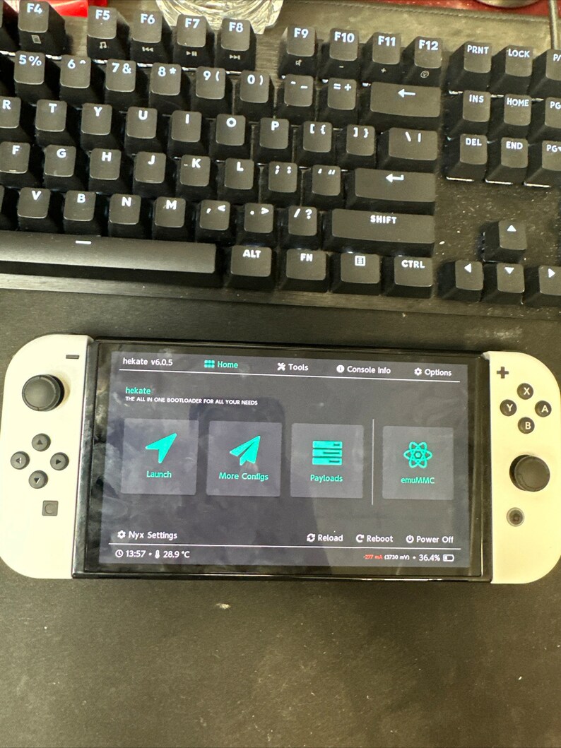 Nintendo Switch Modding Serviceall Models Etsy Australia