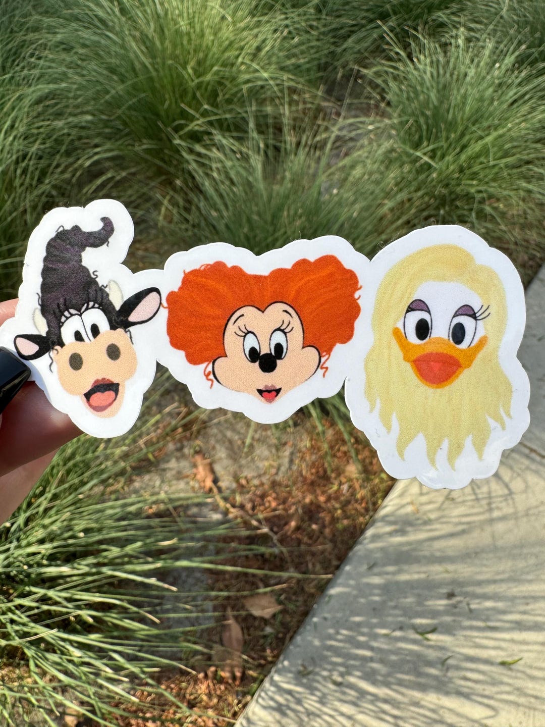 Sanderson Girls Glossy Sticker - Etsy