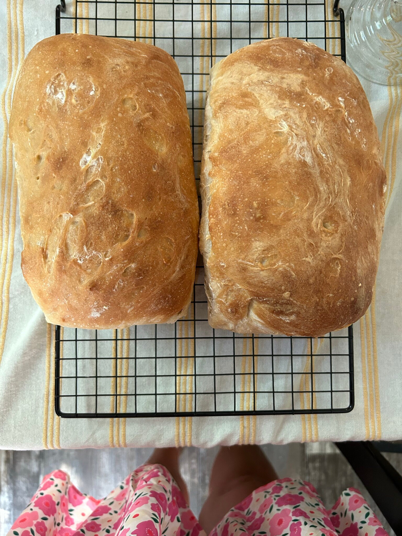 Sourdough Bread Etsy Canada