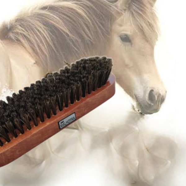 Horse Hair Brush Etsy