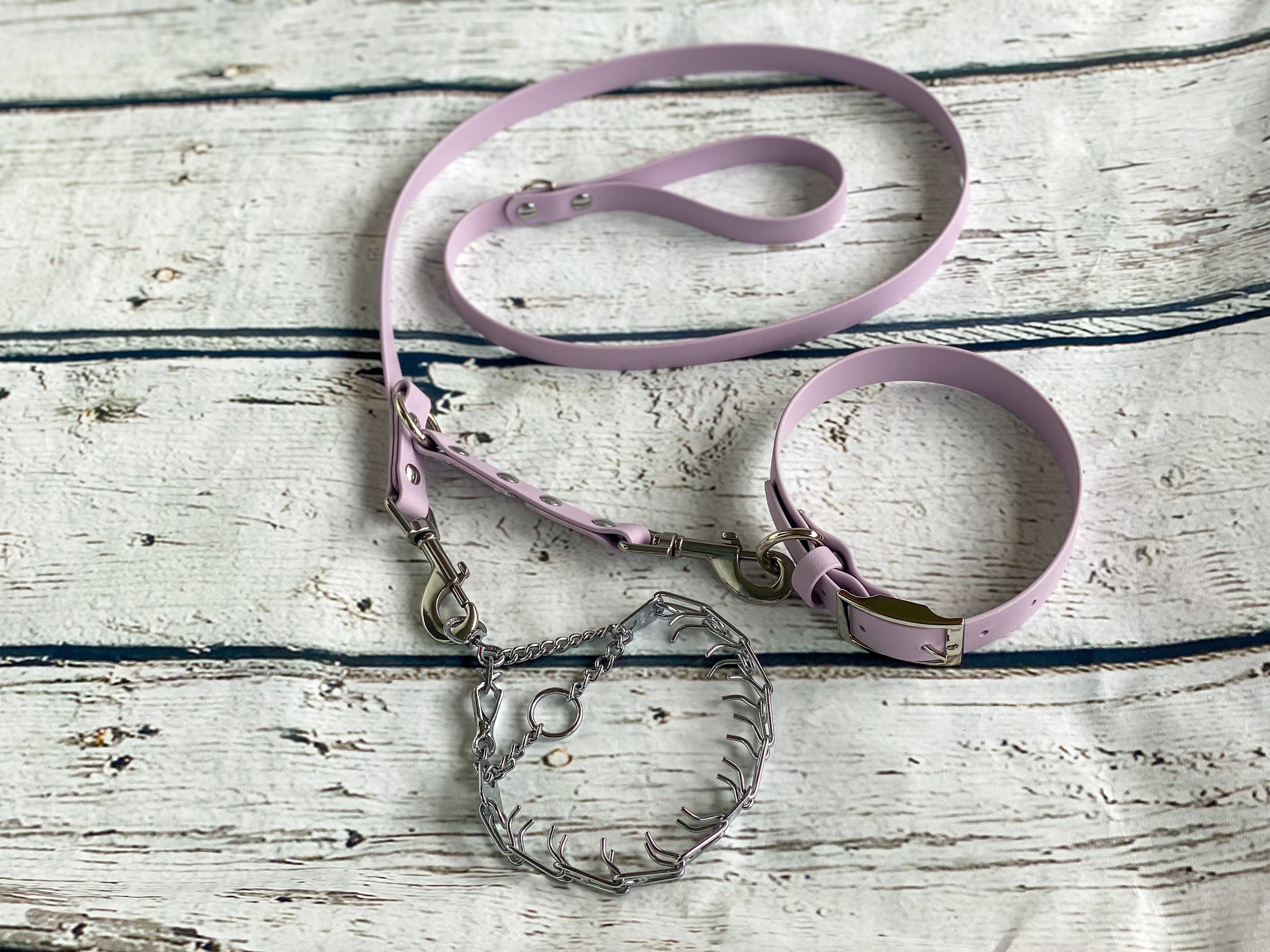 Prong Collar Backup Leash Etsy