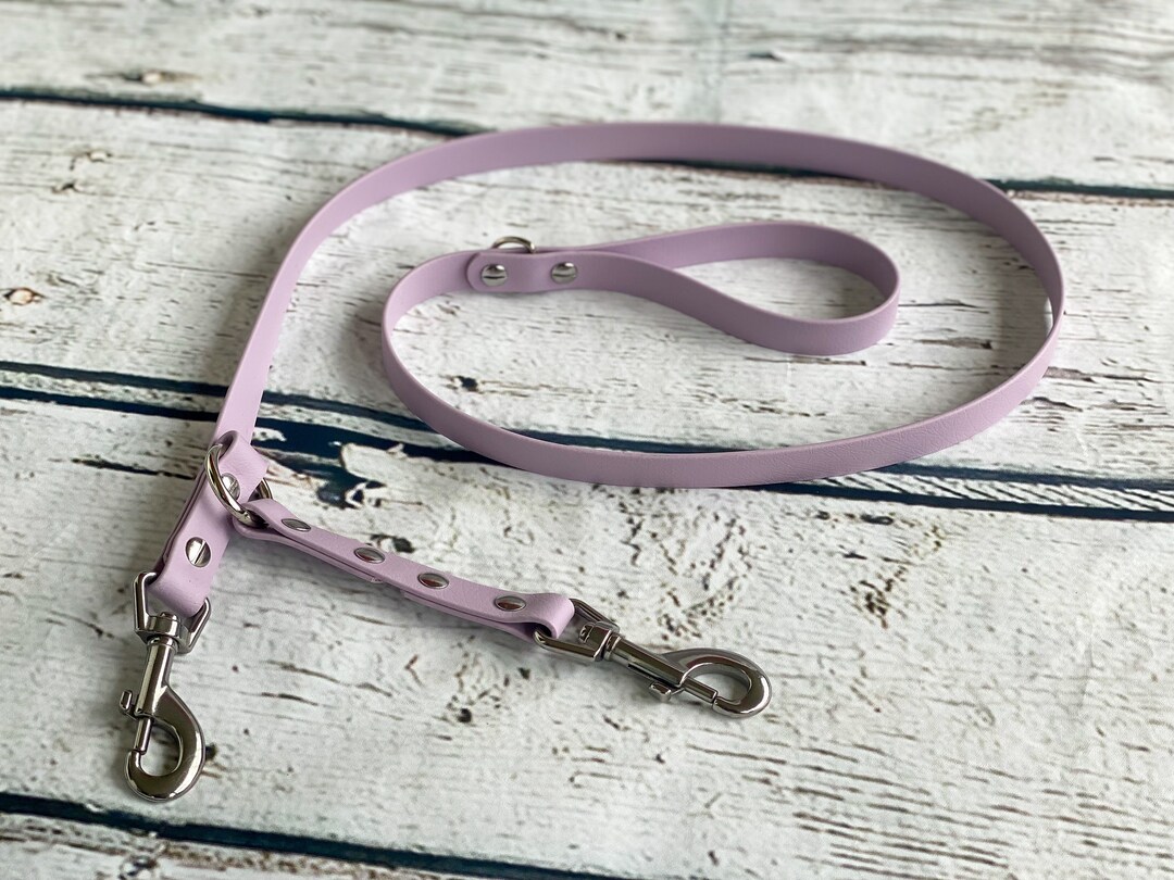 Prong Collar Backup Leash Etsy