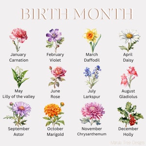Puede incluir: Un gr&aacute;fico que muestra la flor de nacimiento para cada mes del a&ntilde;o. Las flores est&aacute;n ilustradas en estilo acuarela. Enero es el clavel, febrero es la violeta, marzo es el narciso, abril es la margarita, mayo es el lirio de los valles, junio es la rosa, julio es el delfinio, agosto es el gladiolo, septiembre es el aster, octubre es la cal&eacute;ndula, noviembre es el crisantemo y diciembre es el acebo.
