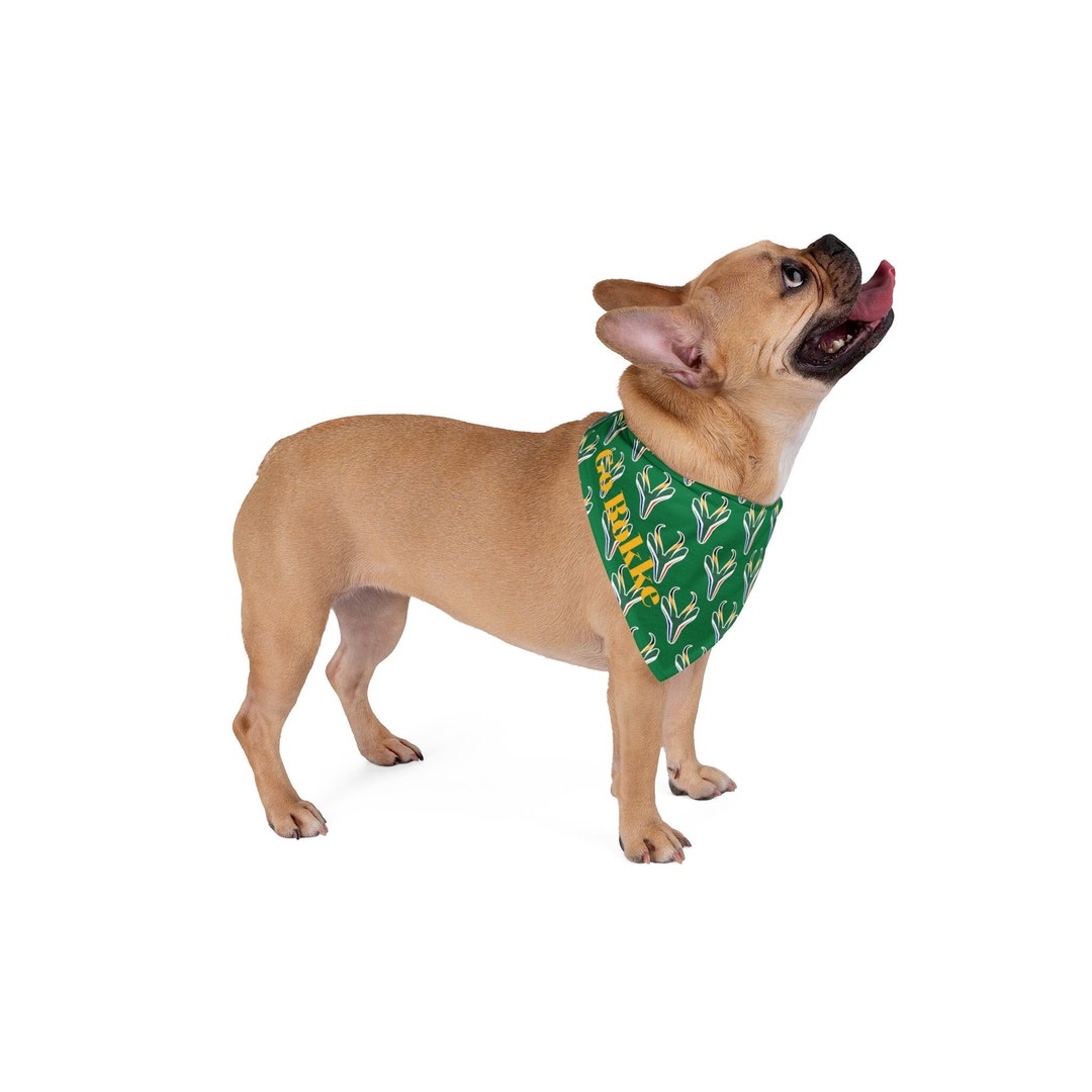 Official Licensed Springbok Dog Bow Tie & Bandana Set main image 1