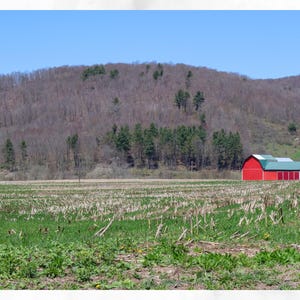 Rural Farm Landscape Print, Countryside Farm Art, Rolling Hills Photography, Rural Decor, Digital Download, Peaceful Farm Scene