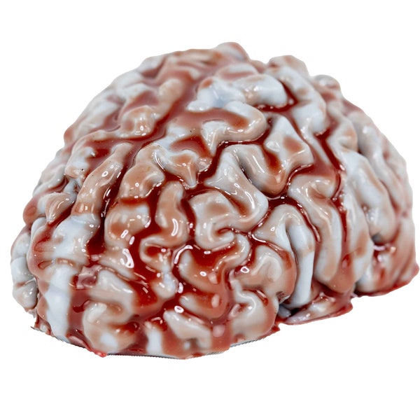 Custom Molded Platinum Silicone Brain Sculpture - Bloody Gray Brain's - Available in Two Sizes _ Made In Charlotte, NC!!!