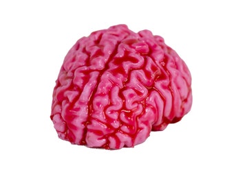 Custom Molded Platinum Silicone Brain Sculpture - Bloody Pink Brain's - Available in Two Sizes _ Made In Charlotte, NC!!!