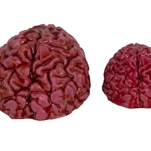 Custom Molded Platinum Silicone Brain Sculpture - Bloody Dark Pink Brain&#39;s - Available in Two Sizes _ Made In Charlotte, NC!!!