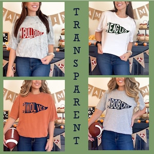 Custom Pennant mascot TRANSPARENT LETTERS Personalized order png digital file high school college football business dance etc.