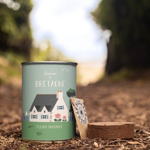 &quot;Countryside&quot; Sowing Kit - Daisy Seeds