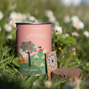 &quot;Countryside&quot; Sowing Kit - Daisy Seeds