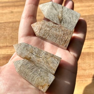 Rare 1,000 Layer Quartz | Scenic Garden Quartz | Lodolite in Clear Quartz Tower | Garden Quartz Tower | Sand Inclusions | High Quality