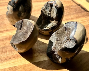 Op de afbeelding: Vier gepolijste, donkerbruine en bruingele geodes met ruwe, getextureerde interieurs zijn gerangschikt op een houten oppervlak. De geodes hebben een gladde, glanzende buitenkant en verschillende vormen, waarbij sommige blootliggende kristalformaties vertonen.