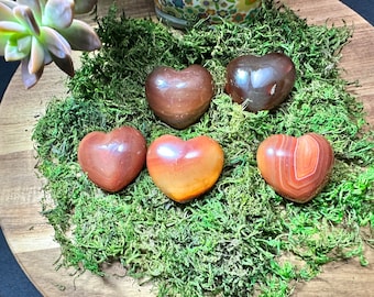 Op de afbeelding: Vijf hartvormige stenen in tinten bruin, oranje en rood, met verschillende patronen en texturen. De stenen zijn gerangschikt op een bed van groen mos, wat een natuurlijke en aardse uitstraling creëert. De stenen zijn gepolijst en glad.