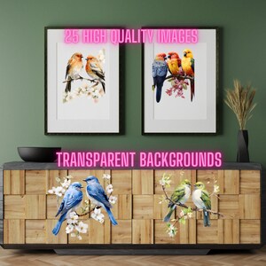 Pacote de pássaros pássaros em aquarela, gráficos de pássaros, conjunto de 25 pássaros PNG, fundo transparente Primavera pássaros clipart pacote de pássaros uso comercial