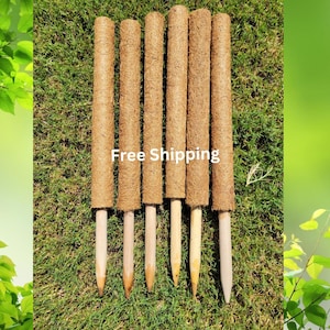May include: Five brown coconut coir tree guards with wooden stakes. The coir is wrapped around the stakes and is designed to help protect trees from damage. Free Shipping.