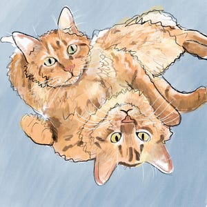 Pet Portrait