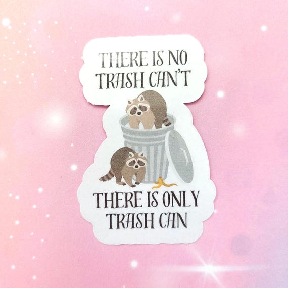 Sarkastischer motivierender Sticker lustiger Waschbär Aufkleber für Laptop oder Wasserflasche witziges Geschenk