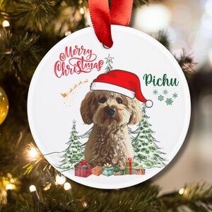 Personalized Pet Ornament, Cat Christmas Photo Ornament, Christmas Gift, Custom Christmas Ornament, Pet Portrait Name Gift, Custom Ornament