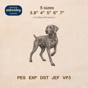 Puede incluir: Diseño de bordado de un perro Weimaraner en pose de caminar. El diseño está disponible en cinco tamaños, de 9,65 cm a 17,78 cm. El diseño también incluye el texto "MACHINE EMBROIDERY DESIGN" y los tipos de archivo PES, EXP, DST, JEF y VP3.