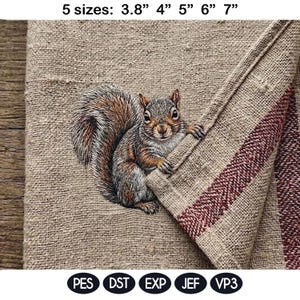 Adorable Squirrel Embroidery Design, In The Hoop Kitchen Towel Project, Cute Woodland Animal Kids Machine Embroidery Pattern