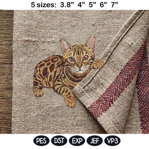 Peut inclure: Une broderie d'un chat Bengal brun et beige avec des motifs détaillés. Le motif est présenté sur un tissu beige avec une rayure rouge. Disponible en 5 tailles: 9.6 cm, 10.2 cm, 12.7 cm, 15.2 cm et 17.8 cm.