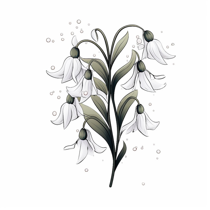 以下が含まれることがあります： 緑色の茎と葉を持つ白いスノードロップの花束。花は繊細でベル型で、基部に緑色の微妙な色合いがあります。