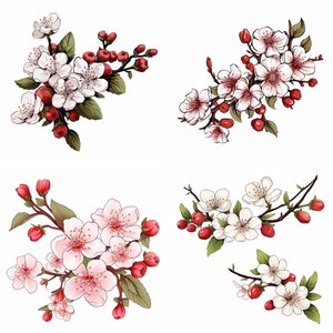 以下が含まれることがあります： 花を咲かせた枝を描いた4つの独立した植物イラストのコレクション。画像には、黄色い中心部を持つ白と淡いピンクの花、濃い赤色のつぼみ、そして茶色の木質の茎に配置された緑の葉が、白い背景に対して描かれています。