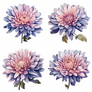 Aster Flower Tattoo PNG | September Birth Month Flower | Blue, Purple, Pink Digital Download