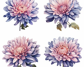 Asterblomma-tatuering PNG | Blomma för september-födelsemånad | Digital nedladdning av blå, lila, rosa