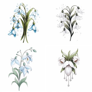 以下が含まれることがあります： 雪割草の花のイラストが4つあります。最初のイラストは、緑の葉と水滴が付いた青い雪割草のブーケです。2番目のイラストは、緑の葉が付いた白い雪割草のブーケです。3番目のイラストは、緑の葉が付いた青い雪割草のブーケです。4番目のイラストは、緑の葉と銀色の鎖が付いた白い雪割草のブーケです。