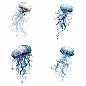 Qualle Druck, Tattoo-Design, minimalistisches PNG, einfach, realistisch, kleine Qualle Tattoo-Ideen