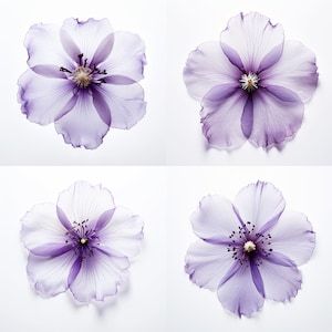 Violeta flor diseño tatuaje contorno PNG violeta flor tatuaje flash / plantillas de tatuaje, tatuaje de flores de nacimiento
