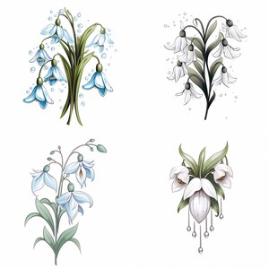 以下が含まれることがあります： 雪割草の花のイラストが4つあります。最初のイラストは、緑の葉と水滴がついた青い雪割草のブーケです。2番目のイラストは、緑の葉がついた白い雪割草のブーケです。3番目のイラストは、緑の葉がついた青い雪割草のブーケです。4番目のイラストは、緑の葉と銀色の鎖がついた白い雪割草のブーケです。