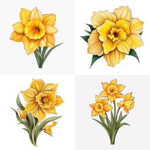 Narzisse Blume Tattoo Umriss PNG Narzisse Blume Tattoo Flash | Tattoo Schablonen, Geburt Blumen Tattoo